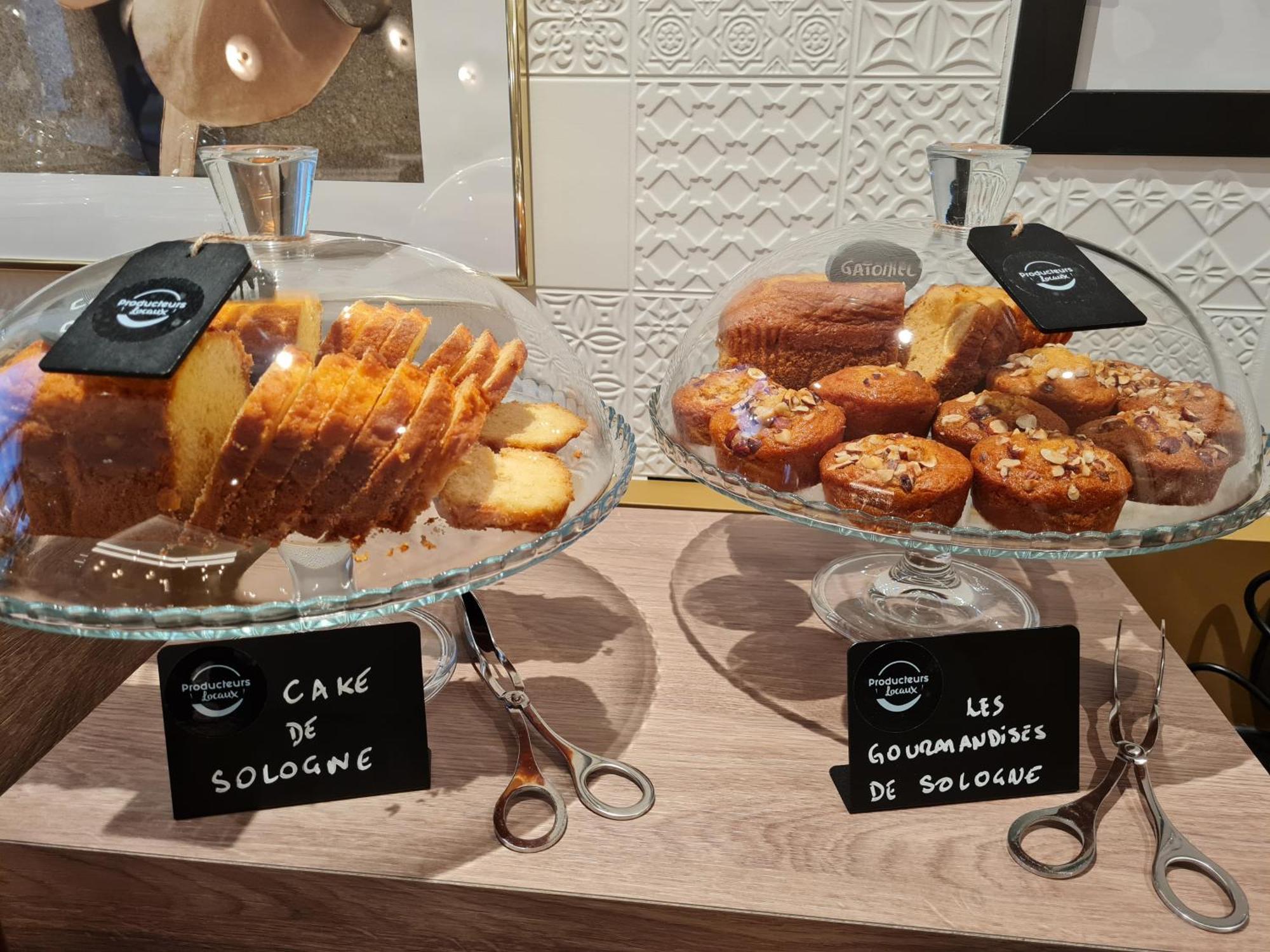 Brit Hotel Orleans St Jean De Braye - L'Antares Saint-Jean-de-Braye Ngoại thất bức ảnh