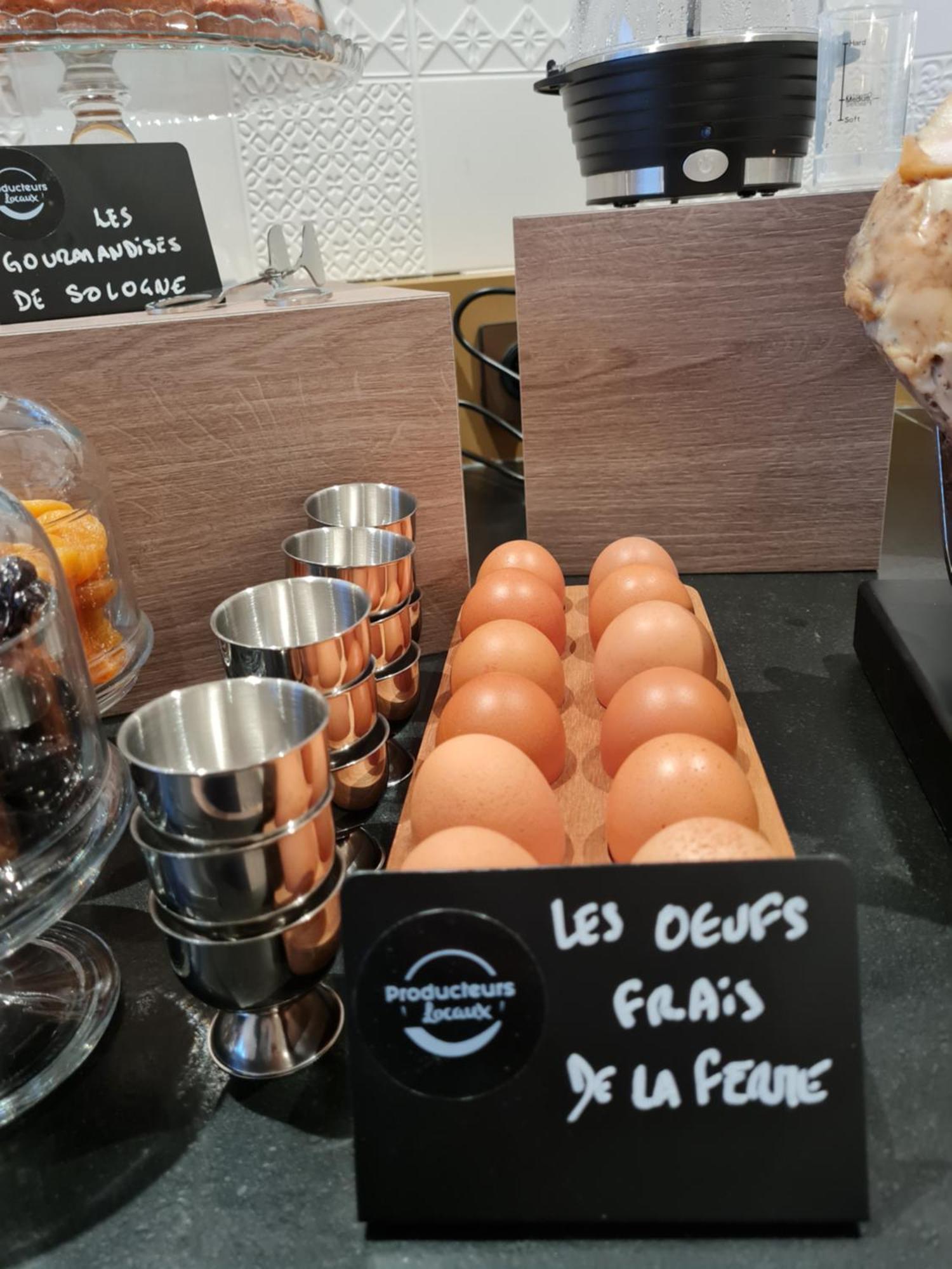 Brit Hotel Orleans St Jean De Braye - L'Antares Saint-Jean-de-Braye Ngoại thất bức ảnh